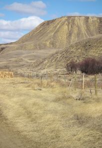 checkerboard from below