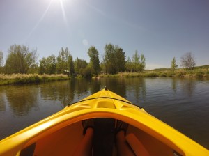 The view from my kayak.